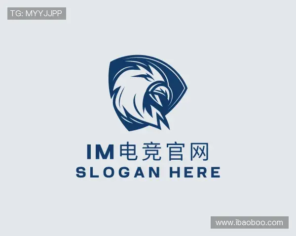 了解IM电竞
